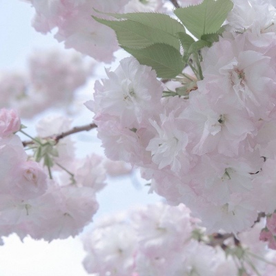 锡林郭勒盟FurryQQ群